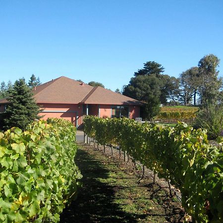 Pearlessence Vineyard Inn Sebastopol Dış mekan fotoğraf