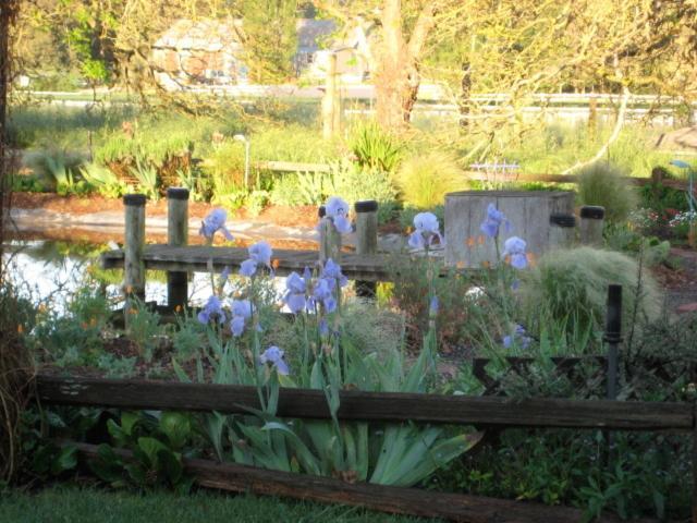 Pearlessence Vineyard Inn Sebastopol Dış mekan fotoğraf