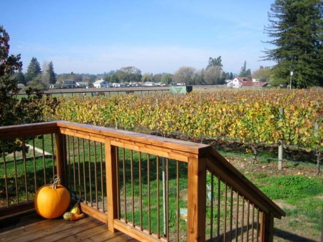 Pearlessence Vineyard Inn Sebastopol Dış mekan fotoğraf